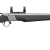 a2 1
